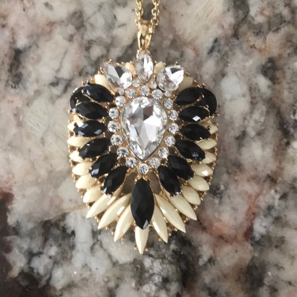 Amrita Singh Jewelry - Amrita Singh Necklace NWT